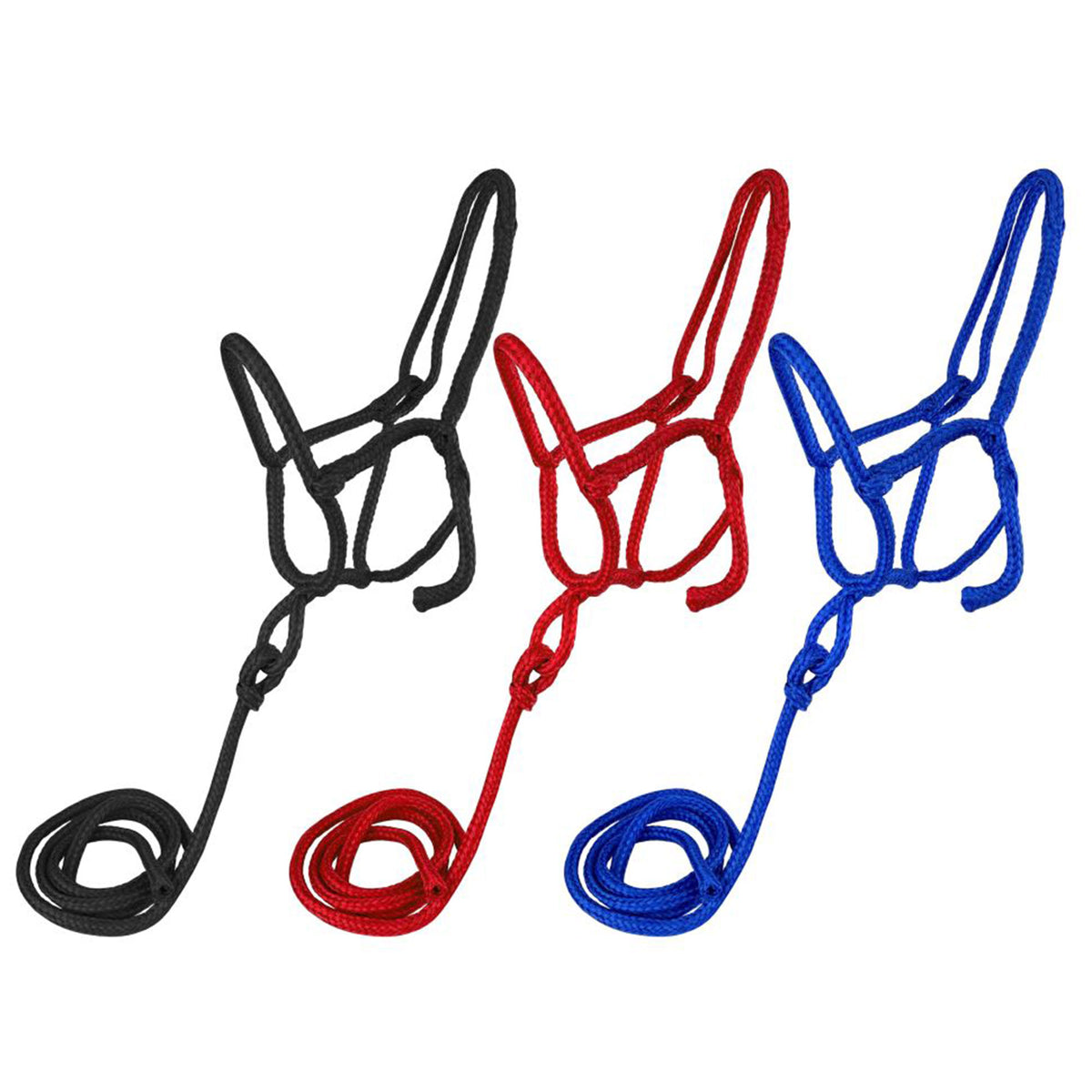 #6803 assorted average horse size nylon rope shipping halter with removable lead