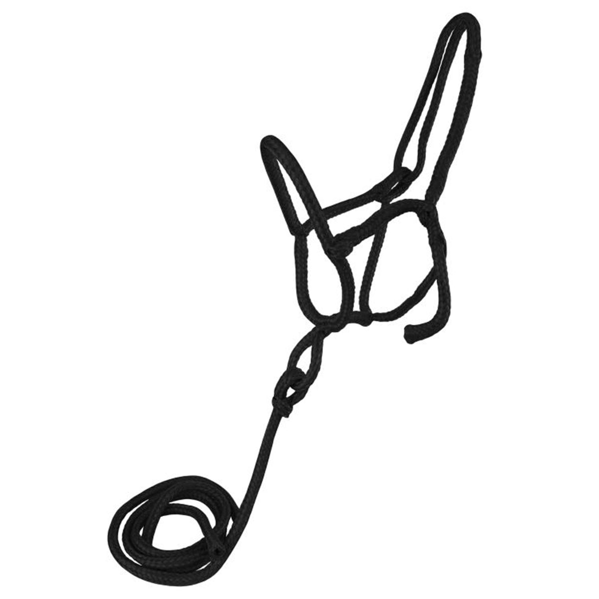 #6803 black average horse size nylon rope shipping halter with removable lead