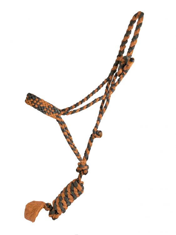 Showman Braided Mule Tape Halter - orange