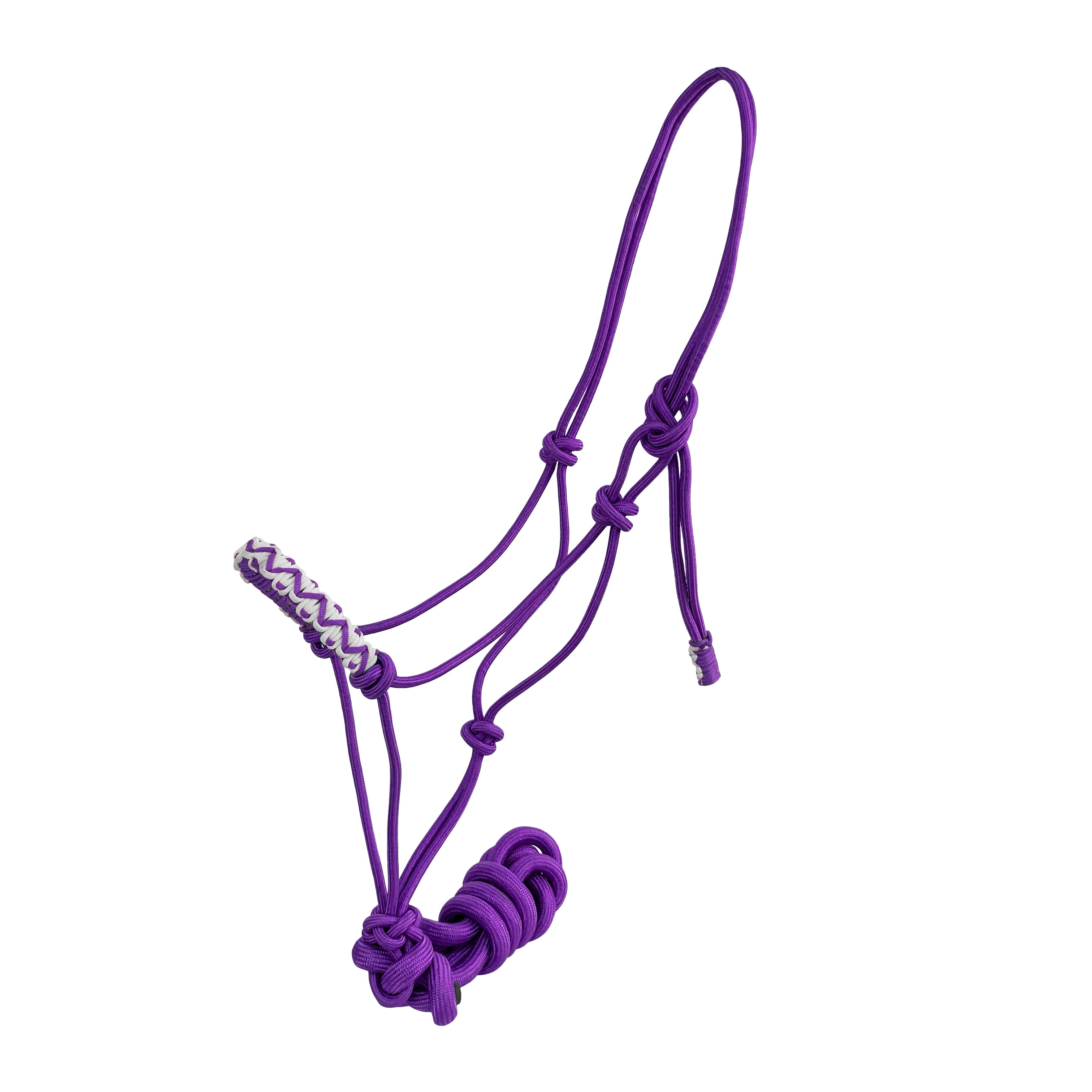 Assorted Braided Nose Cowboy Knot Halter with Lead