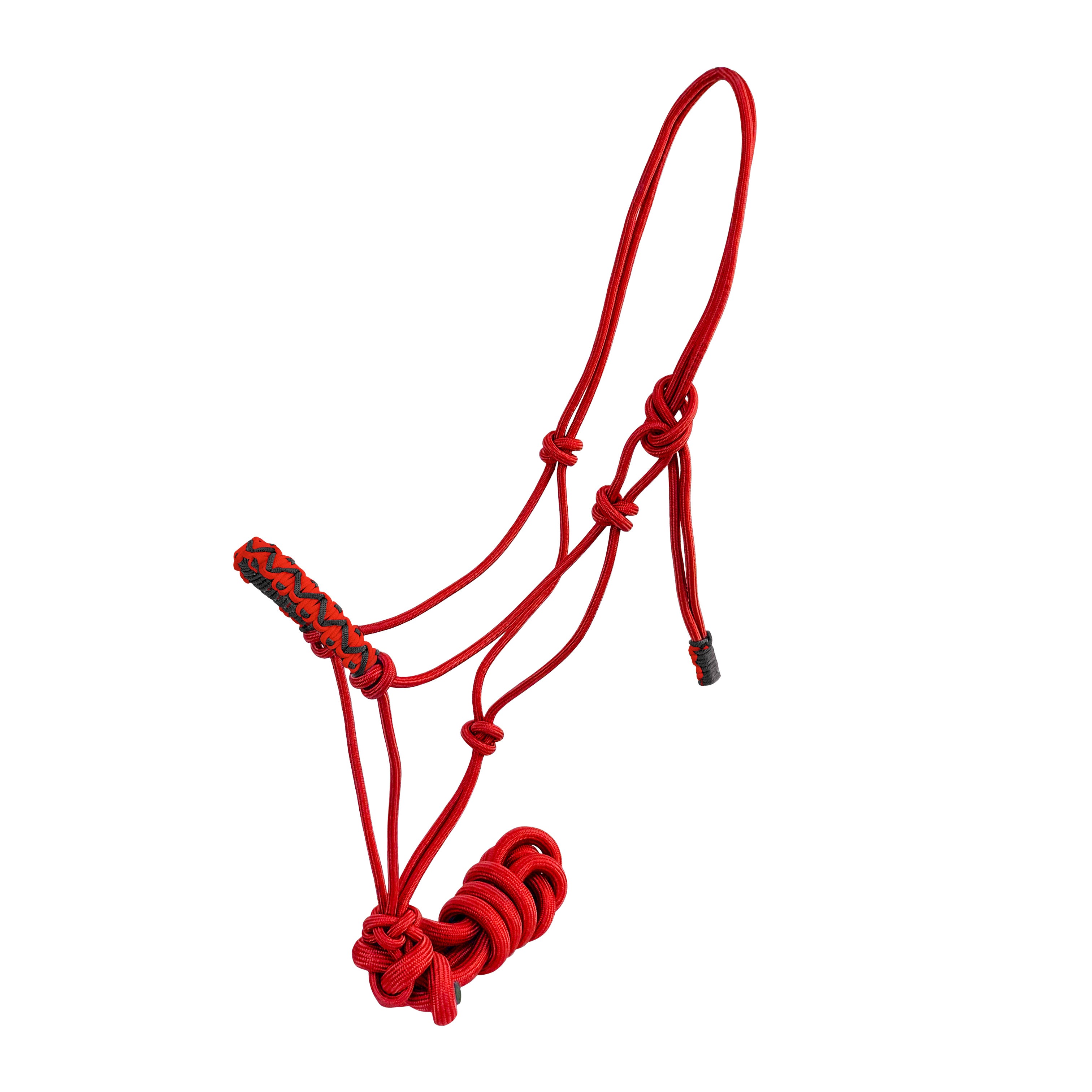 Assorted Braided Nose Cowboy Knot Halter with Lead