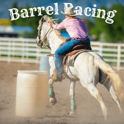 Barrel Saddles