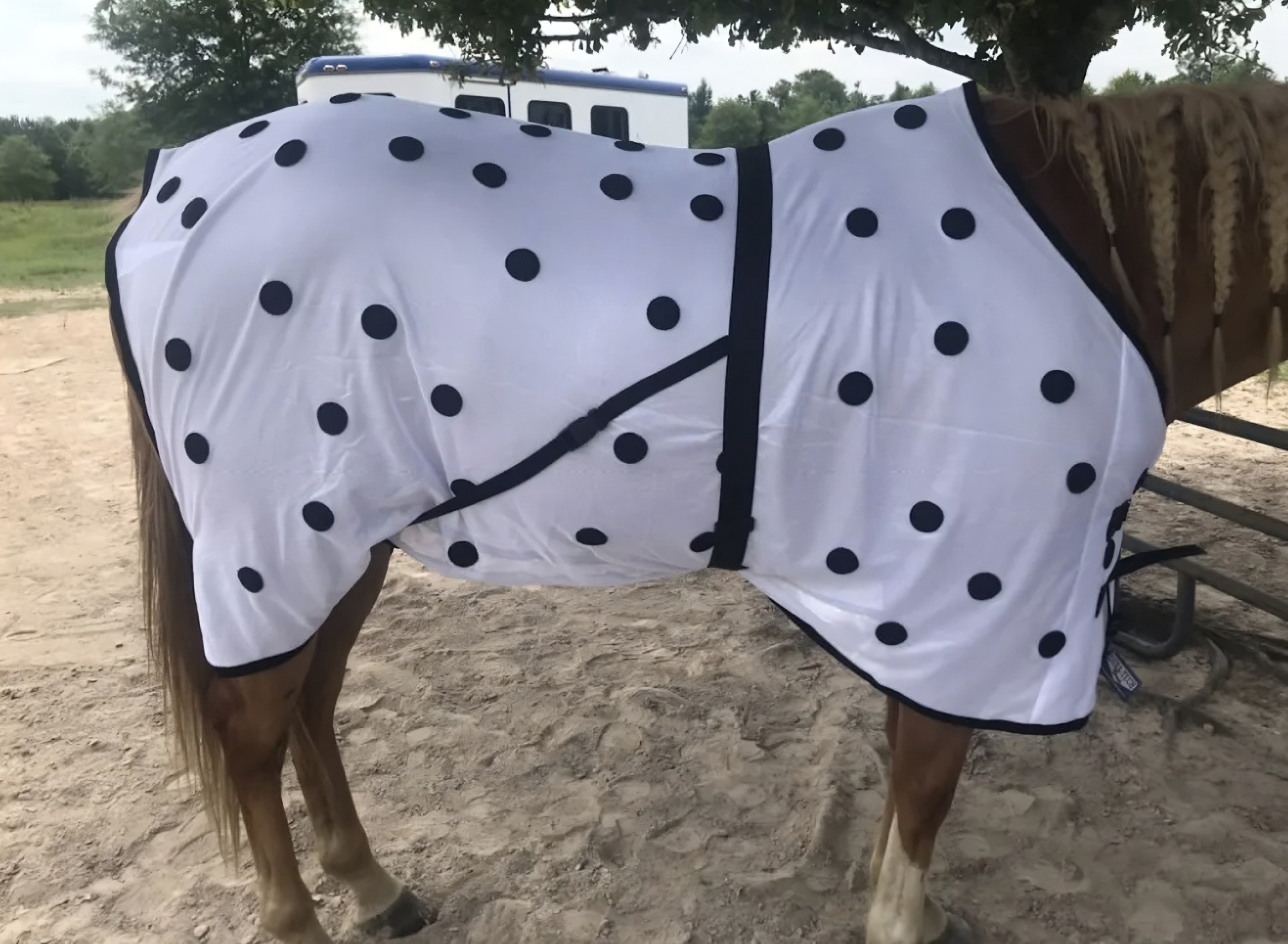 Magnetic Horse Sheet - Equestrian Magnetic Therapy Mesh Sheet