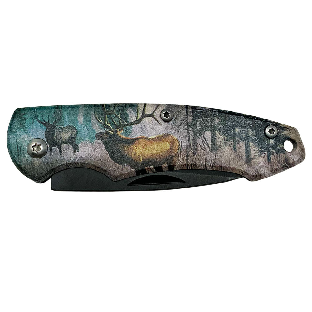 Forest King Drop Point Stainless Steel Folding Knife
