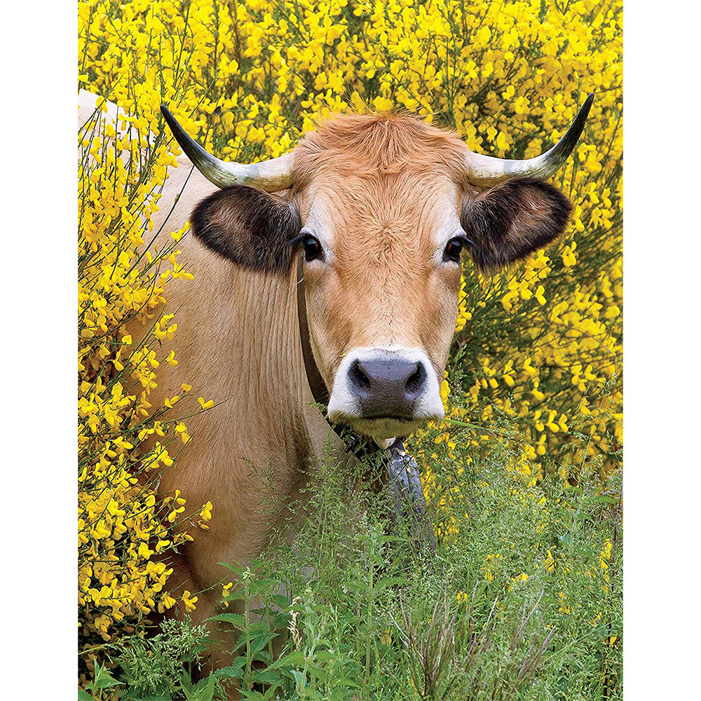 On The Farm 8 In 1 Puzzle Pack