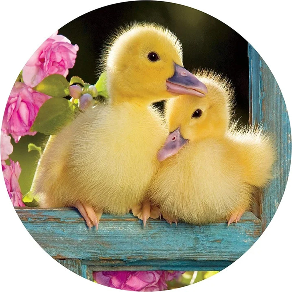 On The Farm 8 In 1 Puzzle Pack