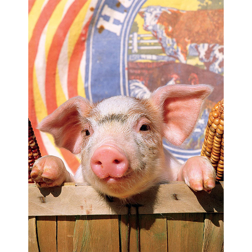 On The Farm 8 In 1 Puzzle Pack