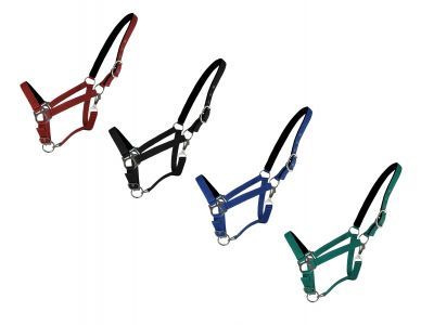 Halter laid flat, showcasing all available color options.