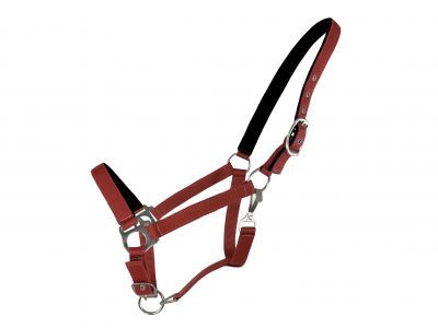 Action shot of a horse wearing the halter during training.