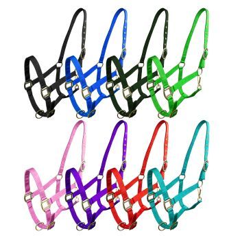 Horse Size Triple Ply Nylon Halter with Brass Hardware - View 2