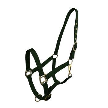 Horse Size Triple Ply Nylon Halter with Brass Hardware - View 5