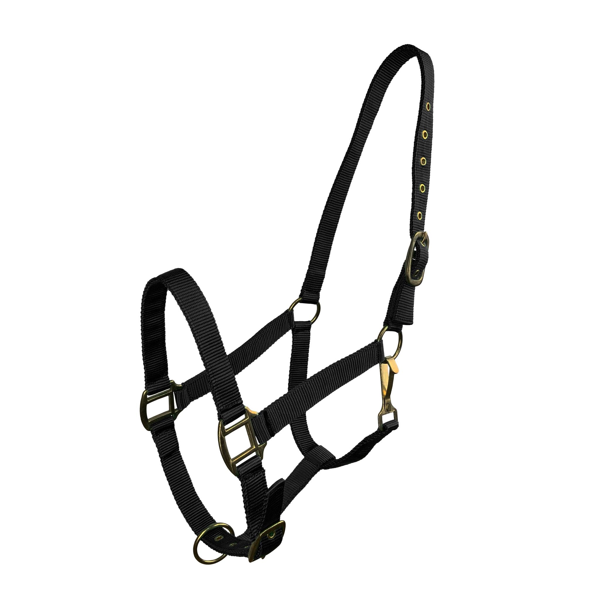 Close-up of brass hardware on the nylon halter, showcasing durability.