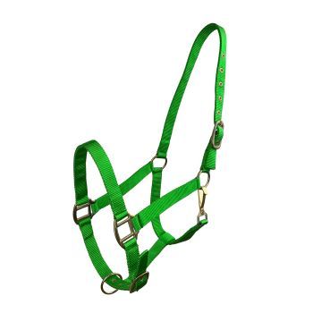 Horse Size Triple Ply Nylon Halter with Brass Hardware - View 6