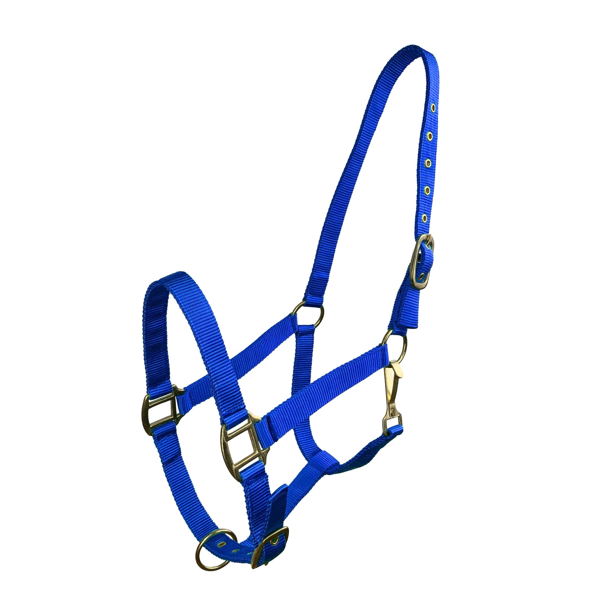 Adjustable nose latch of the halter, ensuring a perfect fit.
