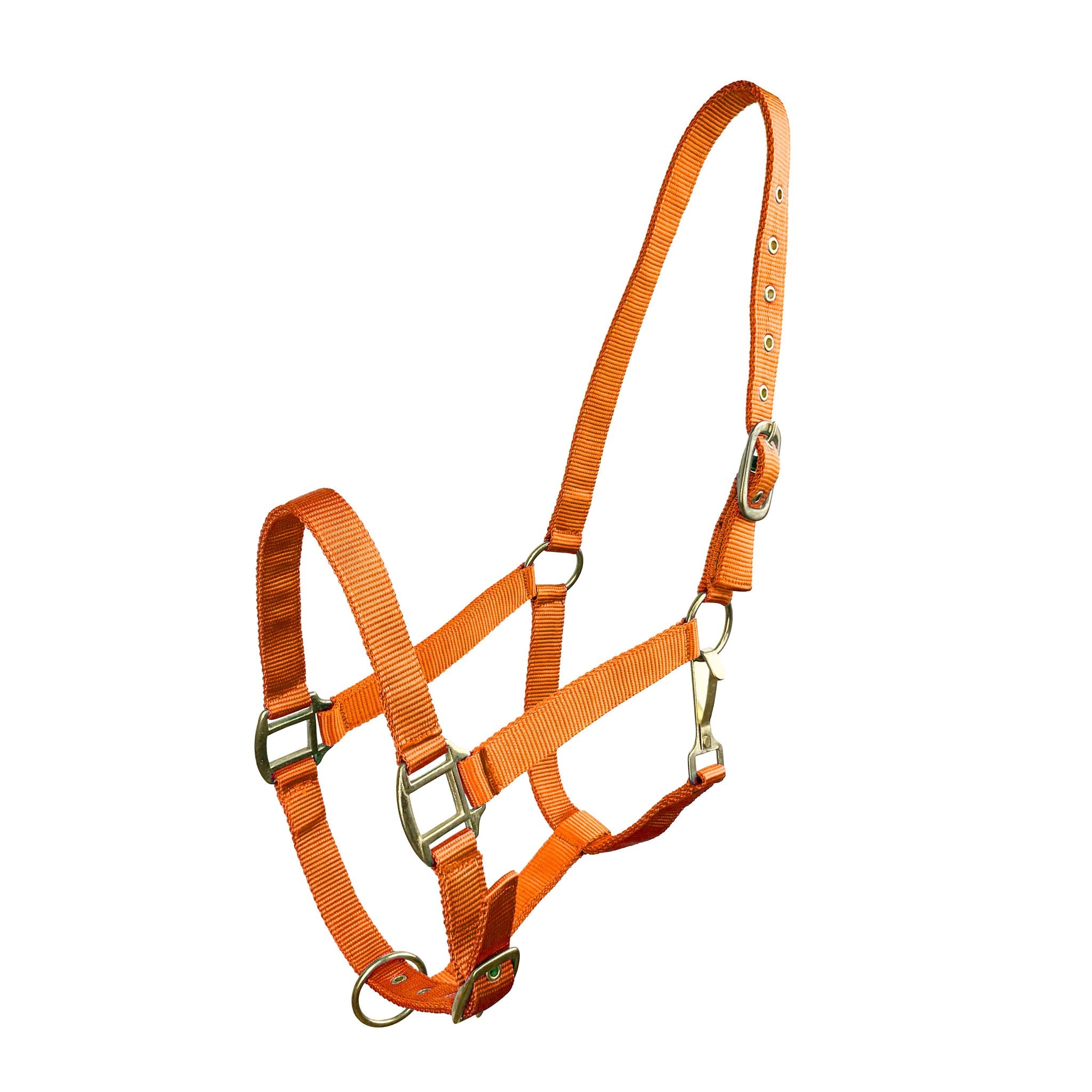 Front view of the halter displaying the sturdy construction.