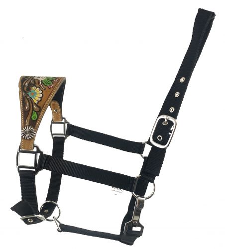 092: Showman® Horse size bronc halter with  hand painted cactus, skull design This halter is const Bronc Halter Showman   