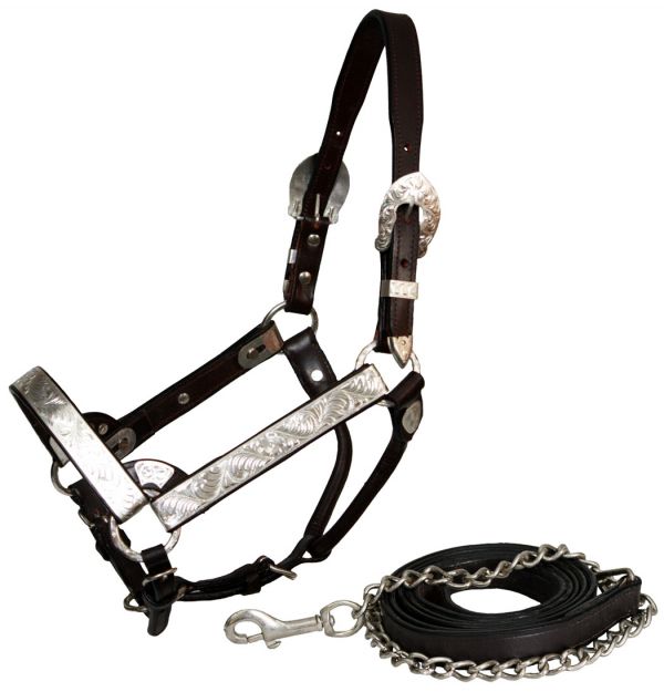 101: Showman ® double stitched leather full horse size silver engraved show halter Show Halter Showman   