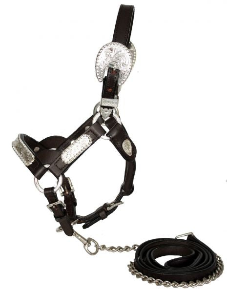 Show Halters - Leather Show Halters 