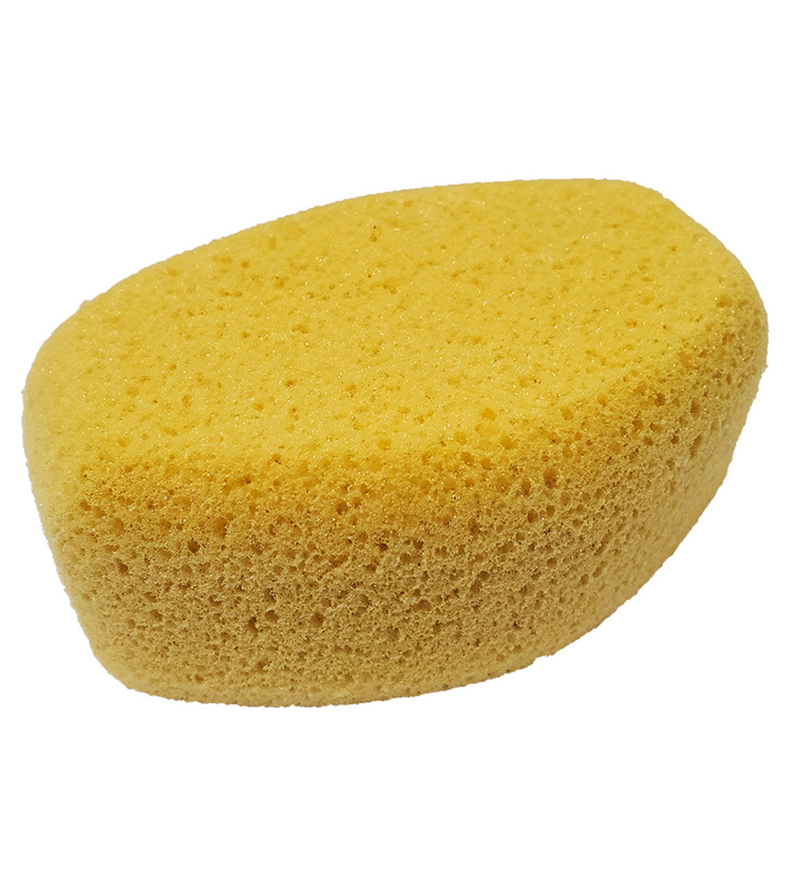 Oval Tack Sponge