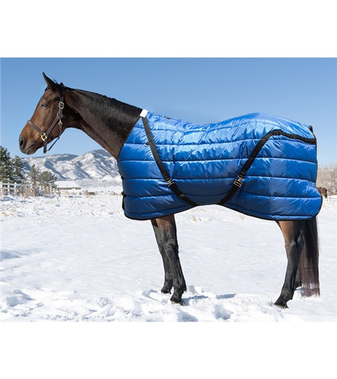 Quilted Exercise Rug Quilted Blanket/Rug - TexanSaddles.com