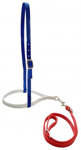 13242: Showman ® Red, White, and Blue nylon noseband and tiedown Headstall Showman   