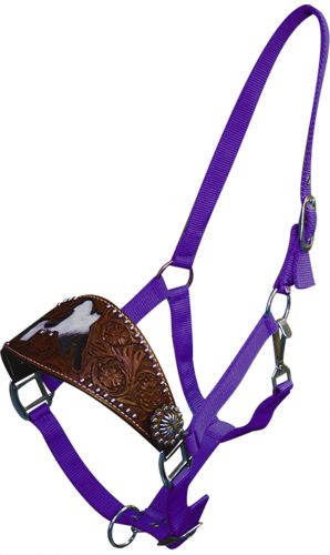 15822: Showman ® adjustable nose nylon bronc halter with nickle plated hardware and eyelets Bronc Halter Showman Purple  