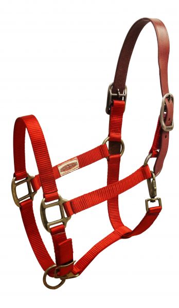 16023: Showman ® Premium nylon Breakaway halter Breakaway Halter Showman   