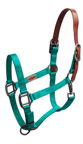 16023: Showman ® Premium nylon Breakaway halter Breakaway Halter Showman   