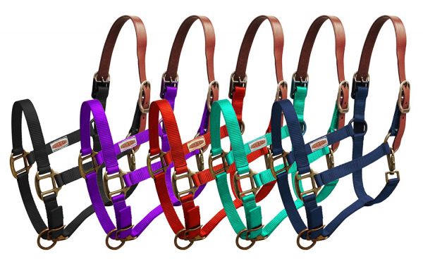 16023: Showman ® Premium nylon Breakaway halter Breakaway Halter Showman   