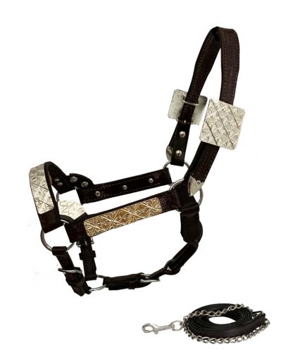 161143M: Showman ® Mini Size double stitched leather show halter with floral engraved silver plate Show Halter Showman   