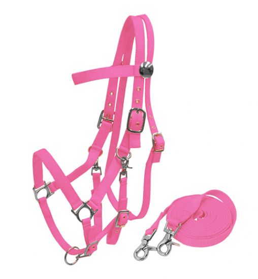 16157: Nylon combination halter bridle with reins Nylon Halter Showman Saddles and Tack   