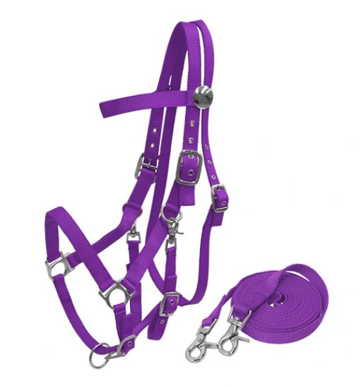 16157: Nylon combination halter bridle with reins Nylon Halter Showman Saddles and Tack   