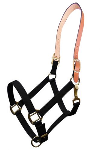 16489: Showman ® Triple ply nylon halter with leather crown Nylon Halter Showman   