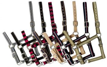 16758HX: Package of 12 - Assorted HORSE size nylon halter is constructed of triple ply nylon with Nylon Halter Showman Saddles and Tack   