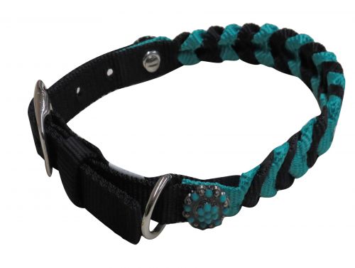 176123: Showman Couture ™ Braided nylon dog collar Primary Showman   