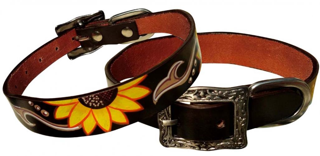 Showman couture dog on sale collars