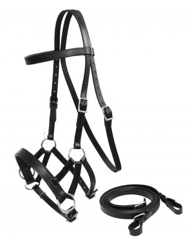 18216X: Showman ® Leather bitless bridle with reins Primary Showman   