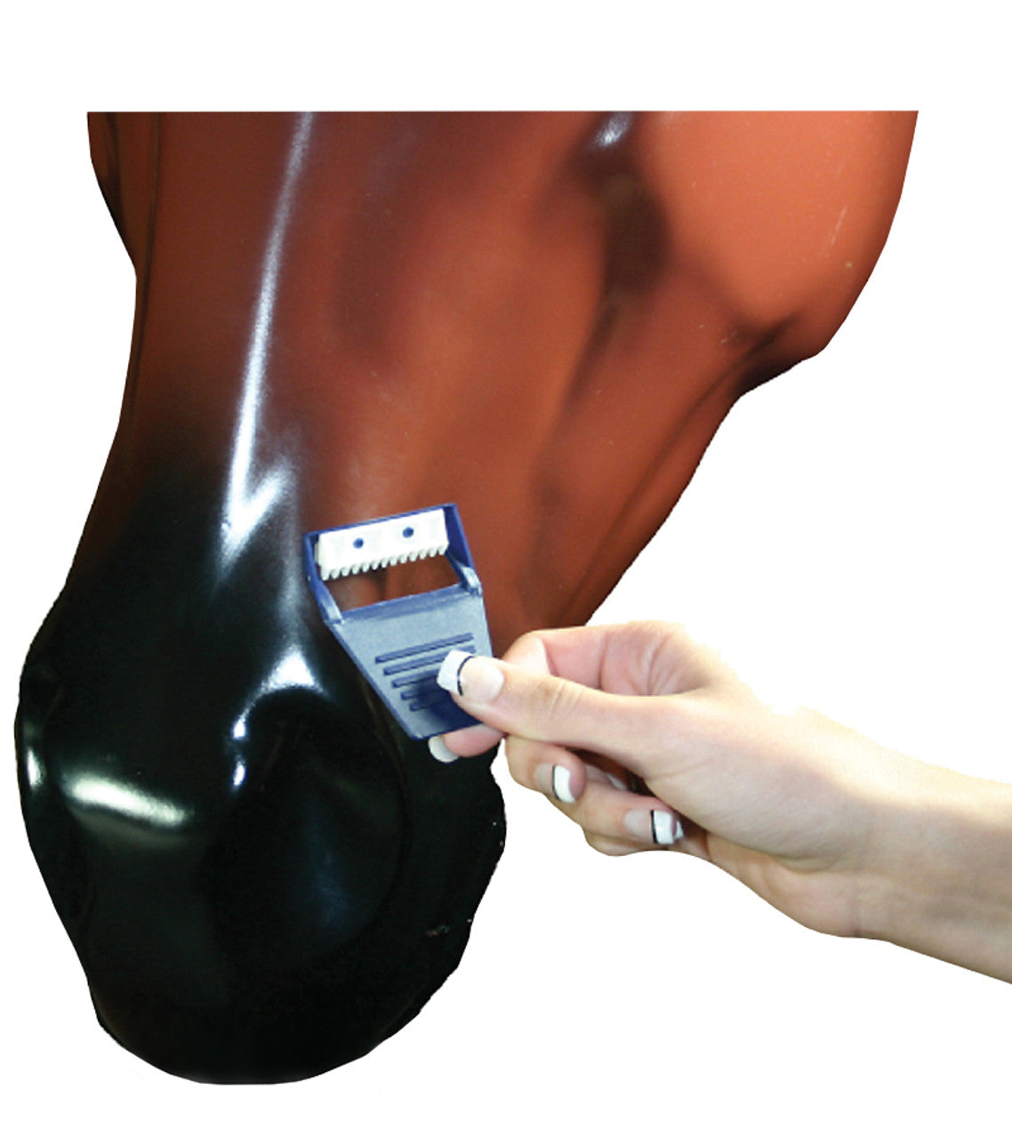 Horse Shaver