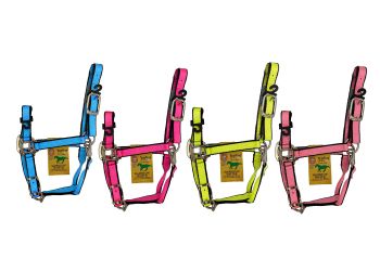 1QASYRNE: HAMILTON, 3ply Poly Yearling Halter (300-500lbs), this NEON halter features heavy duty n Yearling Halter Showman Saddles and Tack   