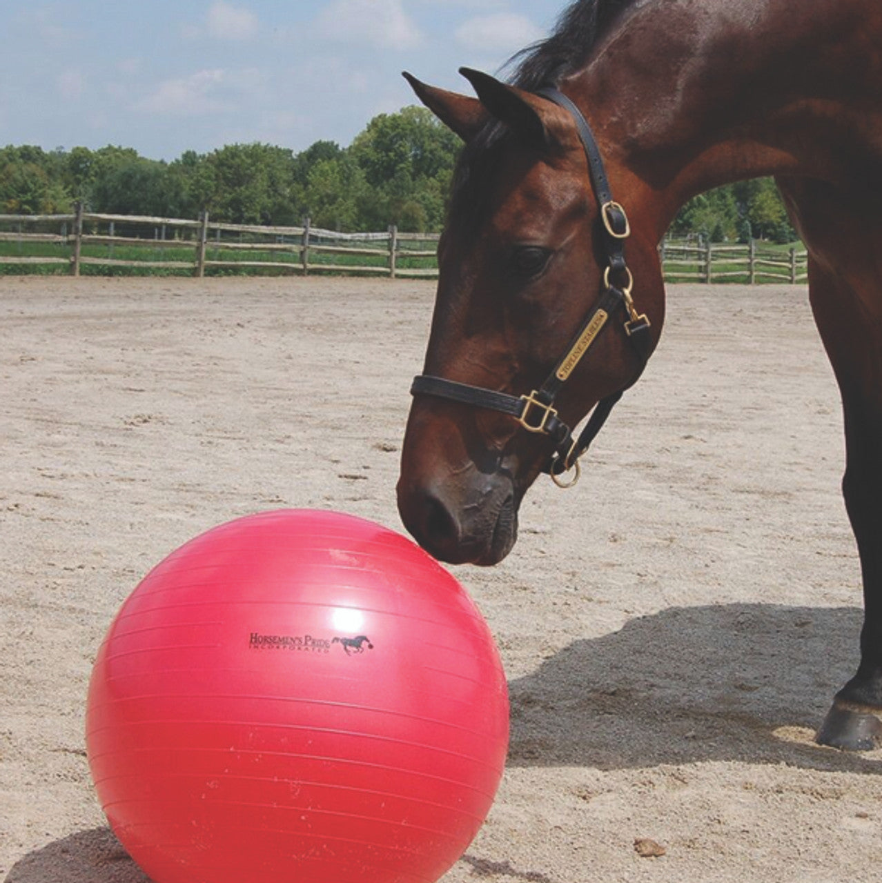 Jolly Mega Ball™