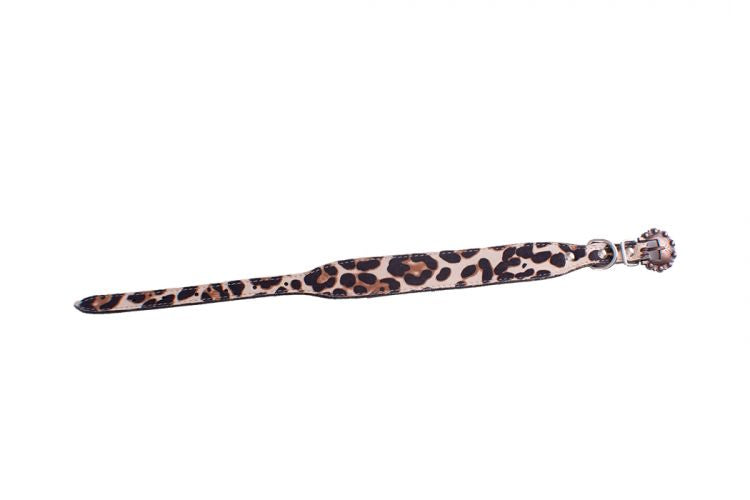 202430: Showman Couture ™ Genuine leather dog collar in leopard print Primary Showman   