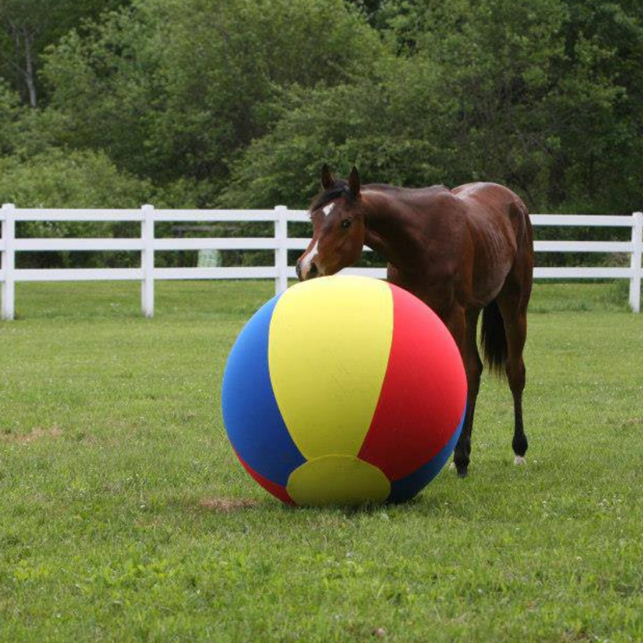 Jolly mega ball 30 2025