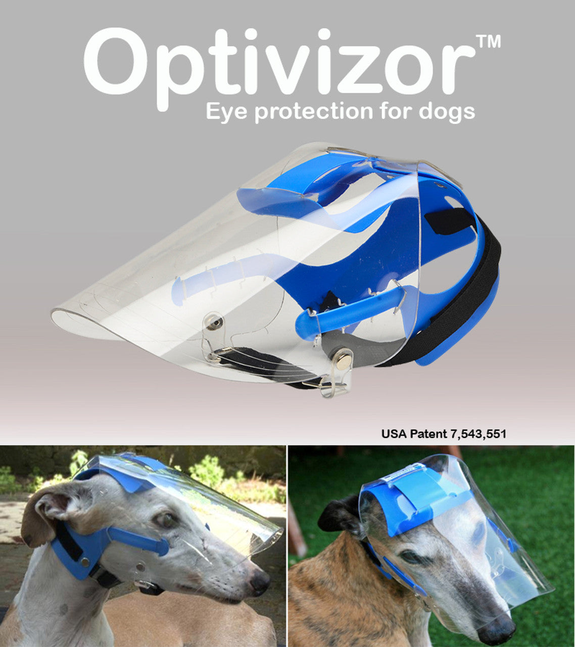 Long Snout Optivizor for Whippets/Greyhounds