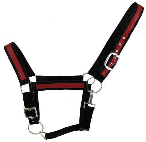 2119: Black Draft horse size nylon halter with accent color Nylon Halter Showman Saddles and Tack   