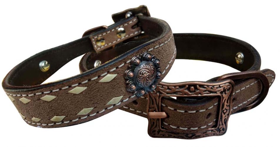 27508: Showman Couture ™ Rough Out leather dog collar with natural buckstitch trim Primary Showman   
