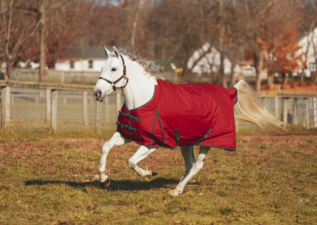 Atlas Turnout Blanket 600 Denier with 180gm Lining