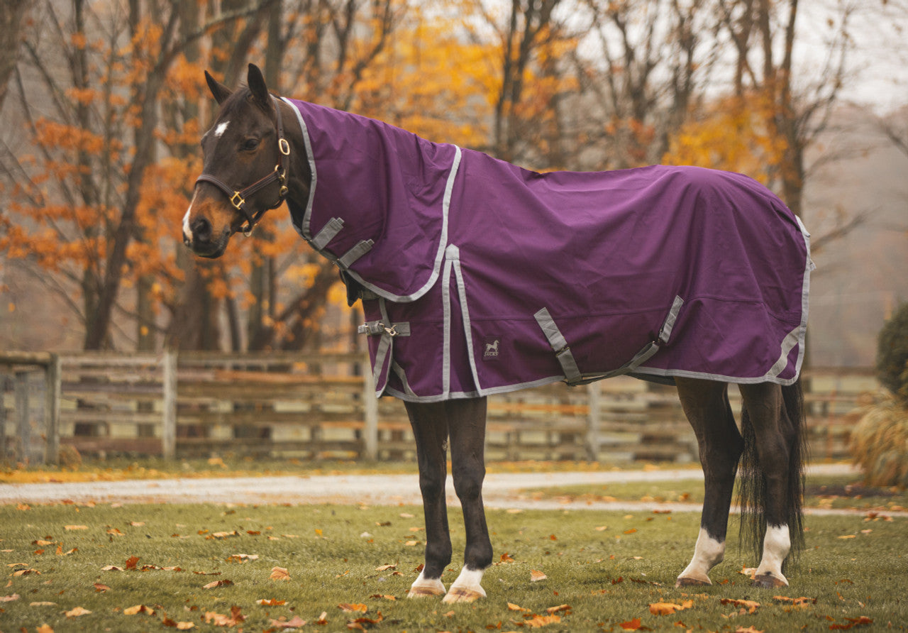 Boreas Purple Turnout Sheet 1200 Denier & Reflective Stripes