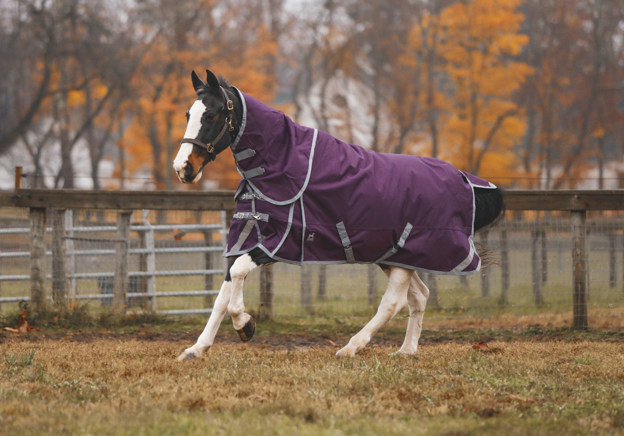 Boreas Purple Turnout Blanket 1200 Denier with 350gm Lining & Reflective Stripes