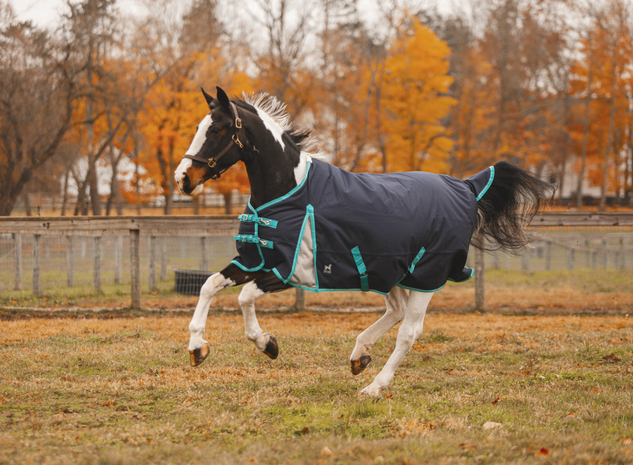 Kratos Turnout Blanket 1200 Denier with 260gm Lining