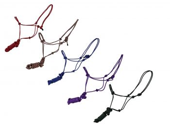 4372: Horse size cowboy knot halter with matching removeable lead Cowboy Halter Showman Saddles and Tack   
